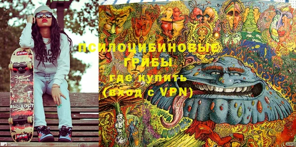 бошки Медногорск