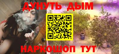 стаф Гай