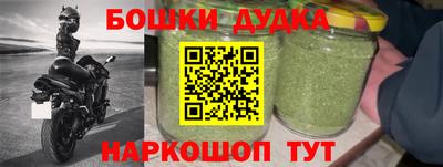 трава Гатчина
