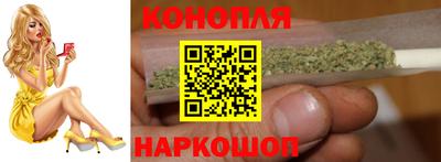 спиды Гагарин