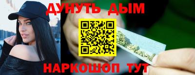 стаф Гай