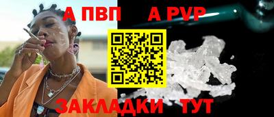 стаф Гай