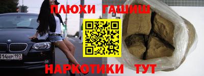 стаф Гай