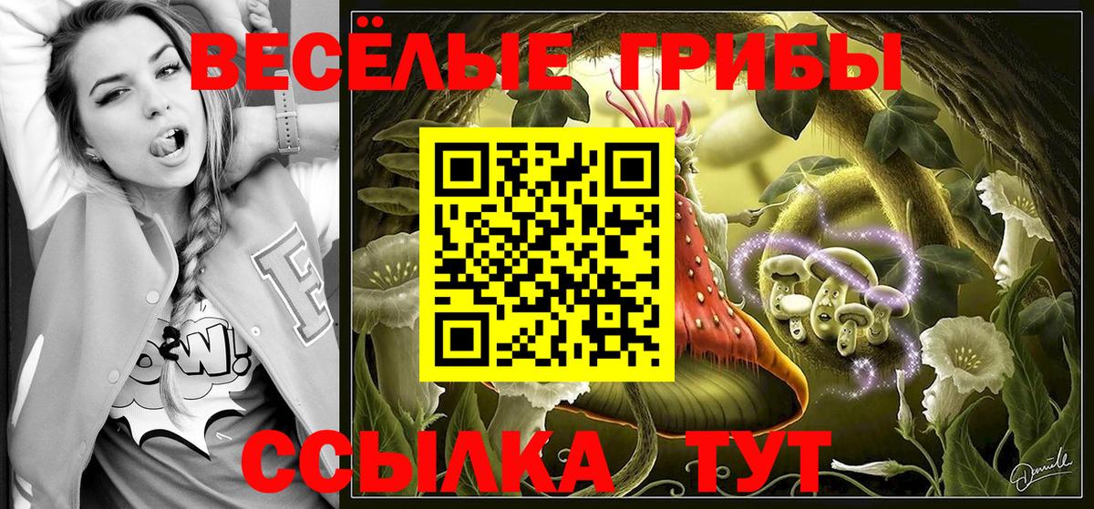 Галлюциногенные грибы мицелий  Псилоцибиновые грибы GOLDEN TEACHER  Вход с VPN  Алексеевка 