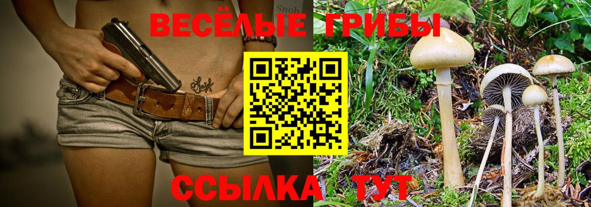 Псилоцибиновые грибы MAGIC MUSHROOMS  дарнет шоп  Алексеевка 