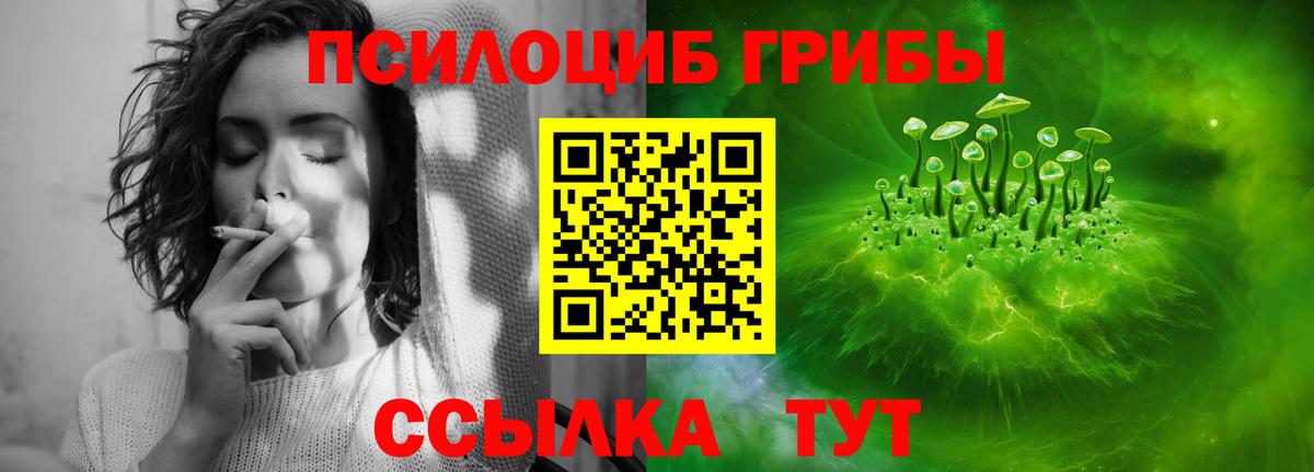 Галлюциногенные грибы Psilocybe Алексеевка